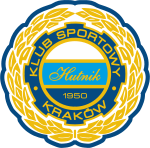 Hutnik Kraków – sekcja siatkówki Logo
